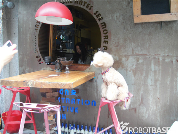 美女与“野兽”