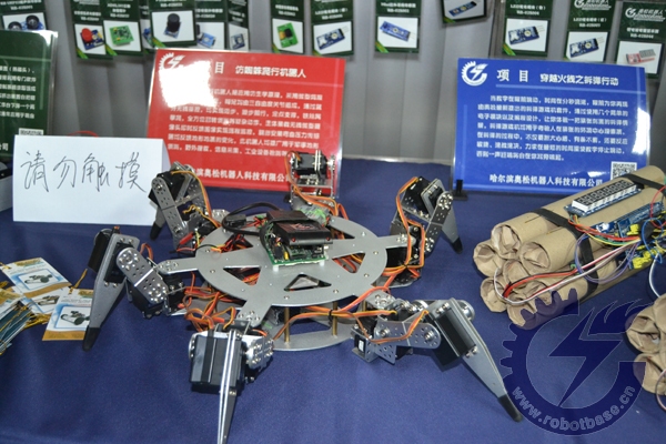 仿蜘蛛爬行机器人